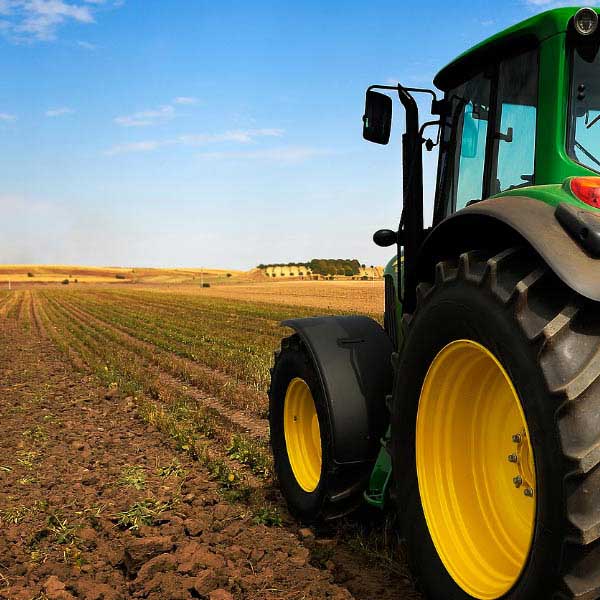 Farm